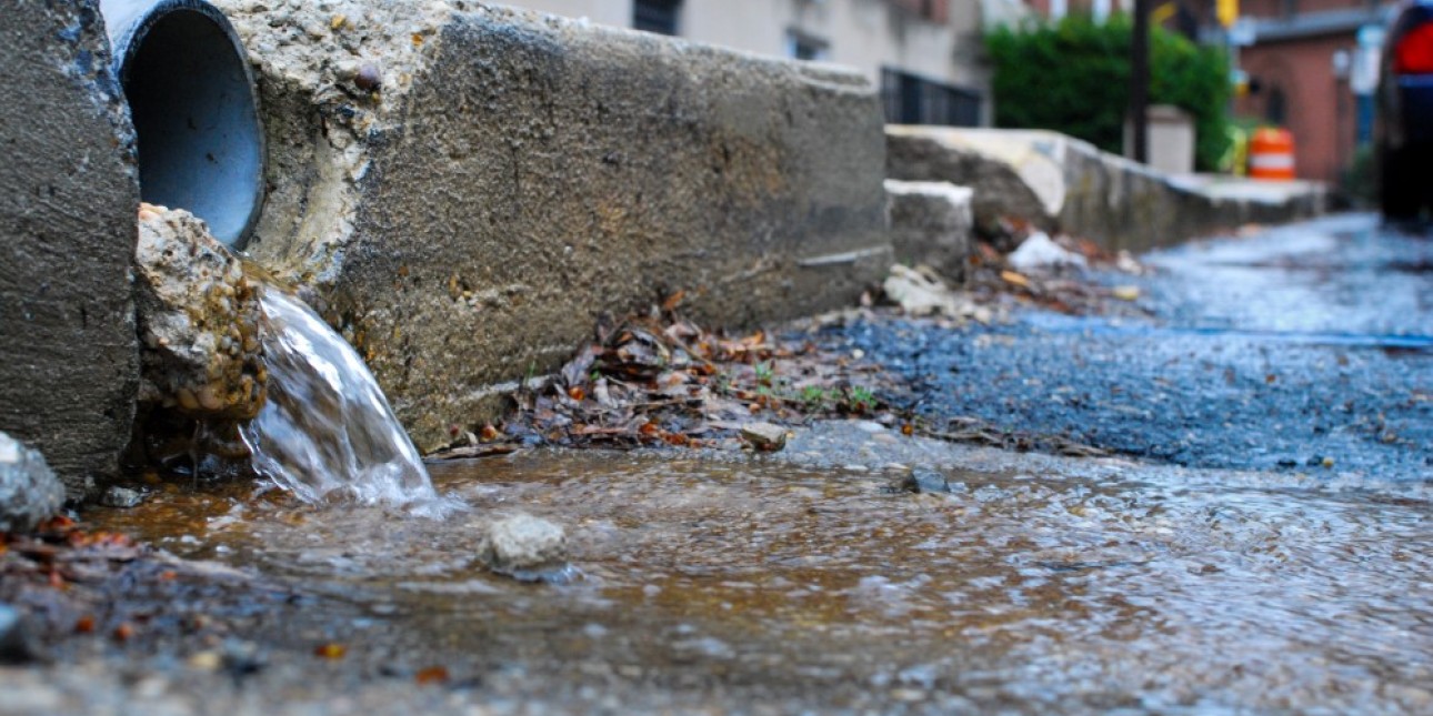 Drop in Maryland Water Pollution Enforcement Imperils Bay Cleanup