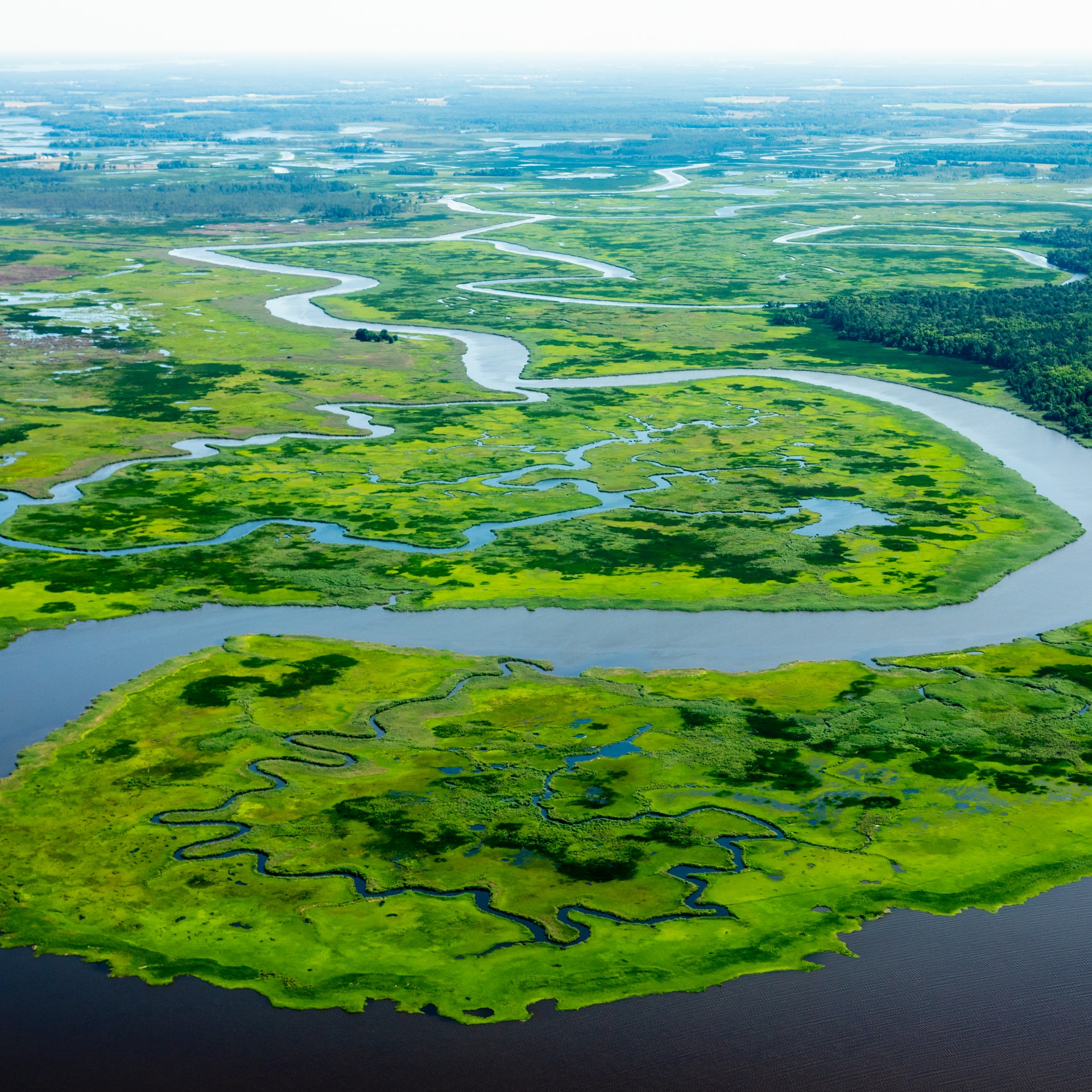 chesapeake bay tributary