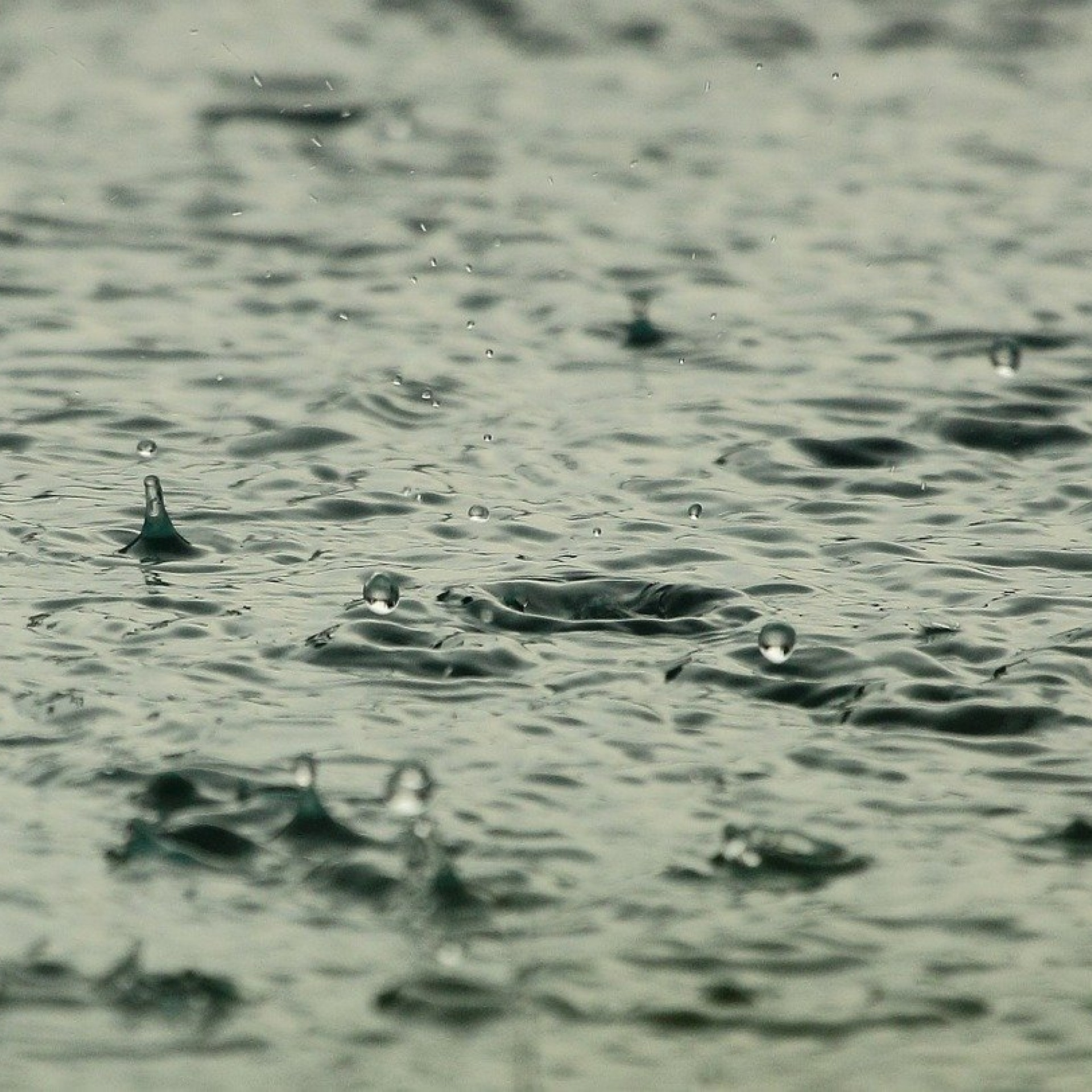 rainwater
