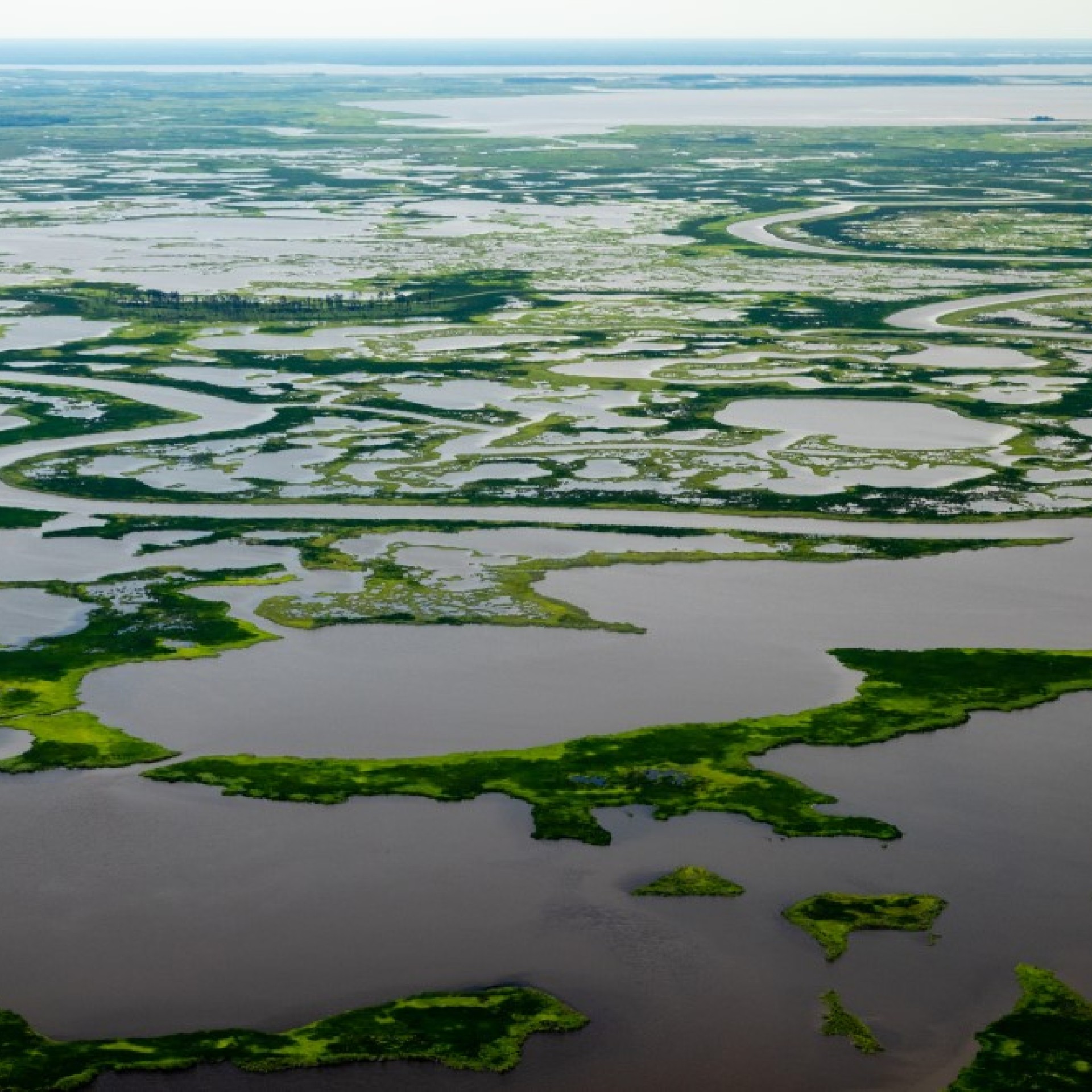 wetlands